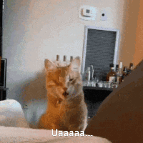 A zis cineva ”eveganță”?