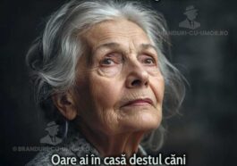 cana cea mai bună bunică branduri cu umor cadou bunica