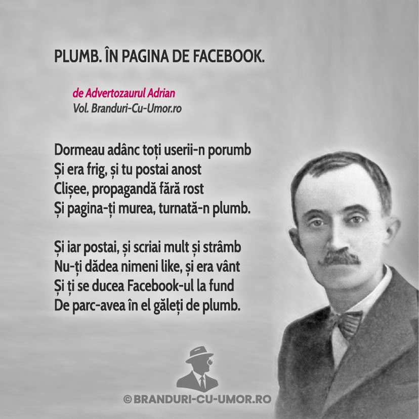 Branduri cu umor - Advertozaurul - Plumb în facebook, de Bacovia